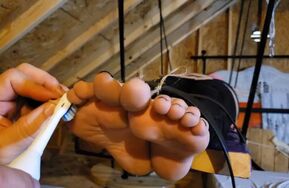 Fettish   Sara St. Clair   Planked and Tickled