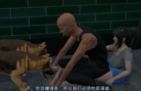 日本3D作者SFL 诬告