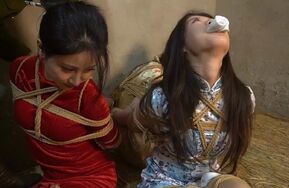 血色魔都2 中（在线播）